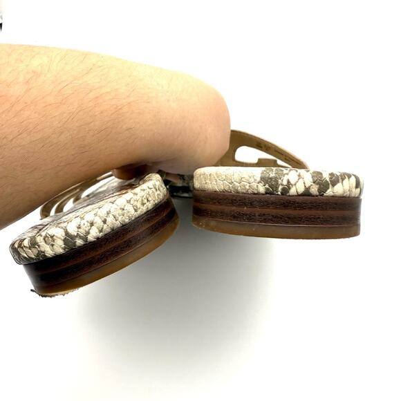 Sam Edelman Bay Slide Sandal Sandshell Python Snake 10M - Picture 5 of 9